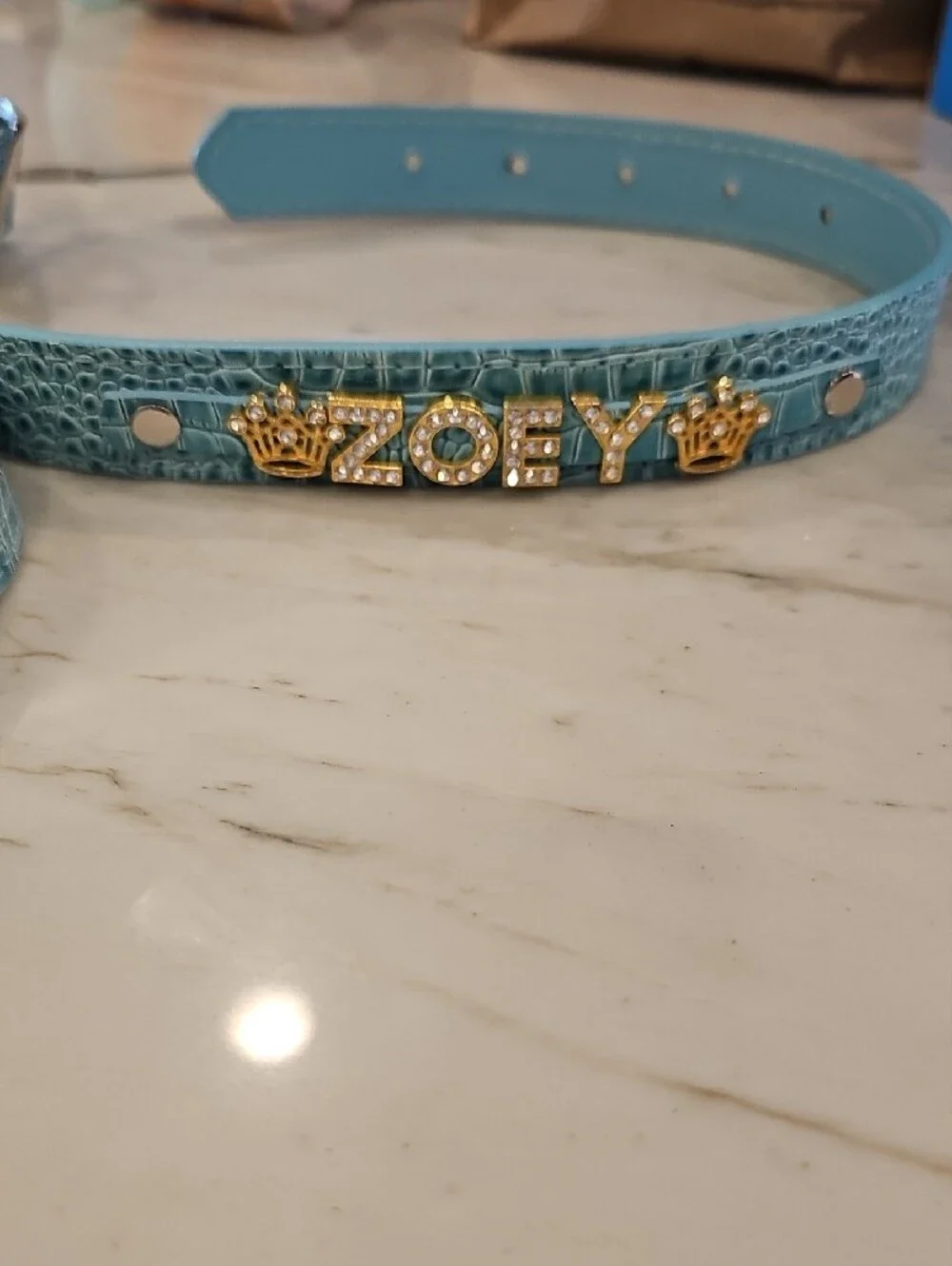 Bone & Barrel Co. Light Blue Croc-Embossed Pet Leash